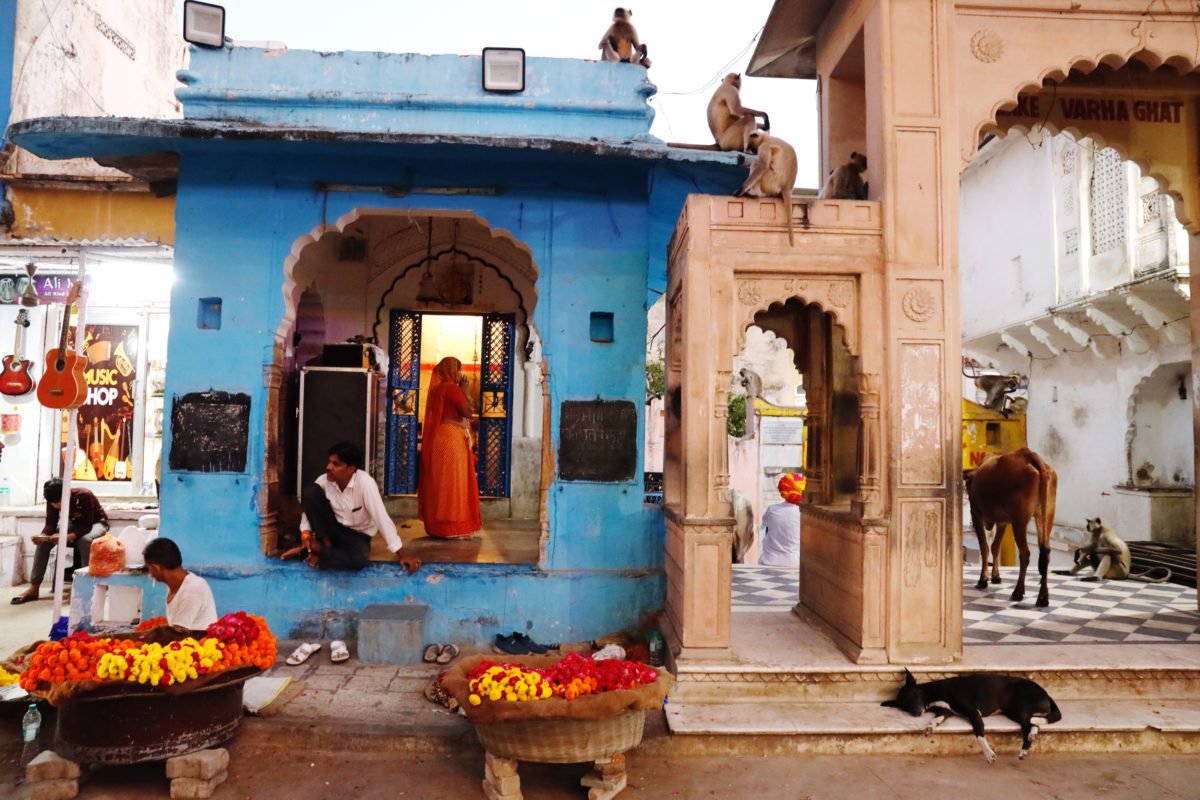 Pushkar är en helig stad med 200 tempel